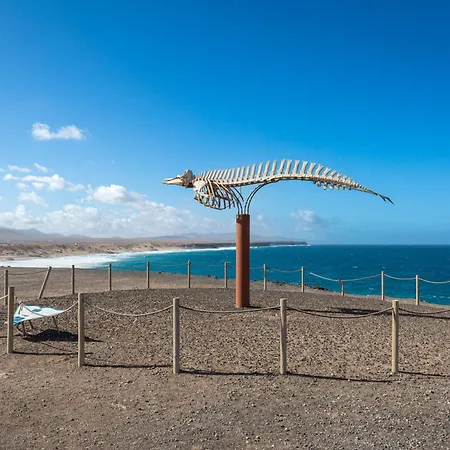 Appartement Home2book Blue Sea 2 Min From The Cotillo